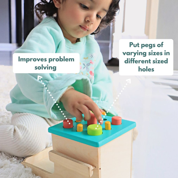 Curious Cub Montessori Wooden Play & Learning Activity Kit - Level 13 (30+M) - Dezine Kids