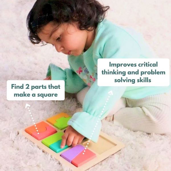 Curious Cub Montessori Wooden Play & Learning Activity Kit - Level 13 (30+M) - Dezine Kids