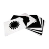 Brainsmith Nature Newborn Cards - Dezine Kids