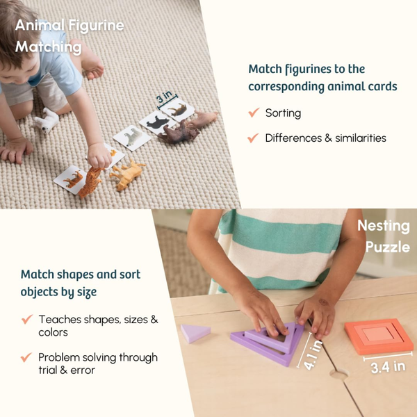 Curious Cub Montessori Wooden Play & Learning Activity Kit - Level 9 (19+M) - Dezine Kids