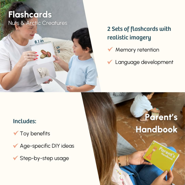 Curious Cub Montessori Wooden Play & Learning Activity Kit - Level 9 (19+M) - Dezine Kids