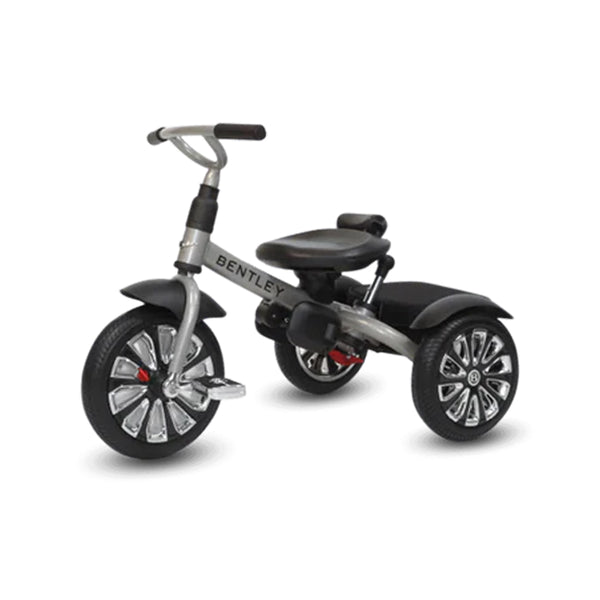 Bentley 6 in 1 Baby Stroller Mullinerr - Cool Stone Grey - Dezine Kids