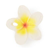 Oli & Carol Hawaii The Flower Chewy Teether