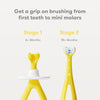 Frida Baby Grow With Me Training Manual Toothbrush Set