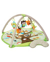 Treetop Friends Baby Activity Gym - Dezine Kids