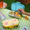 Basil 2 Compartment Stainless Steel Lunchbox with Plastic Lid - Kitty Party