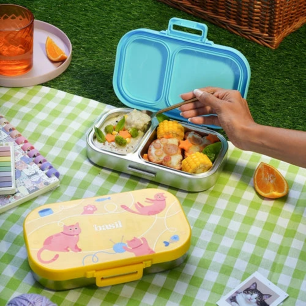 Basil 2 Compartment Stainless Steel Lunchbox with Plastic Lid - Kitty Party