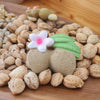 Oli & Carol Aly The Almond Teether