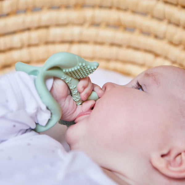 B.Box Silicone Wrist Teether Fox - Sage Green