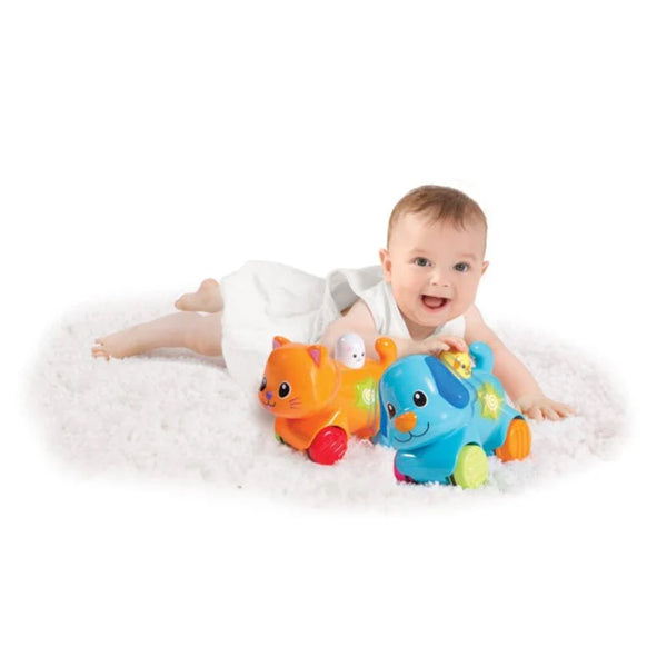 Winfun Press 'N Go Pet PuppyRollAlong Toy with Flashing Light