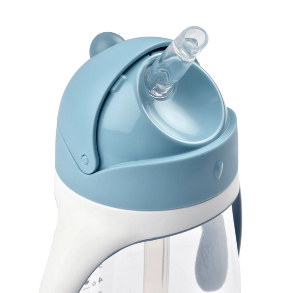 Beaba 2 in 1 Baby Sipper Water Bottle, Anti Spill Sippy Cup with Soft Silicone Straw for Toddler, Removable Handles, 300 ml - Windy Blue