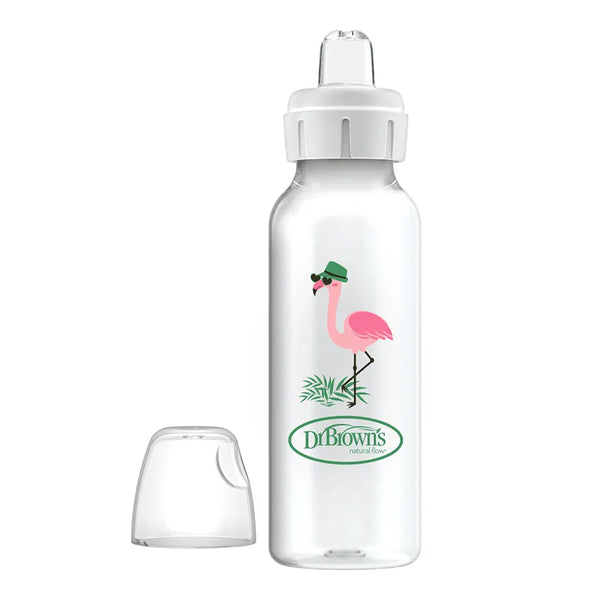 Dr.Browns Milestones Narrow Sippy Bottle (6m+) 8oz/250 ml - Flamingo - Dezine Kids