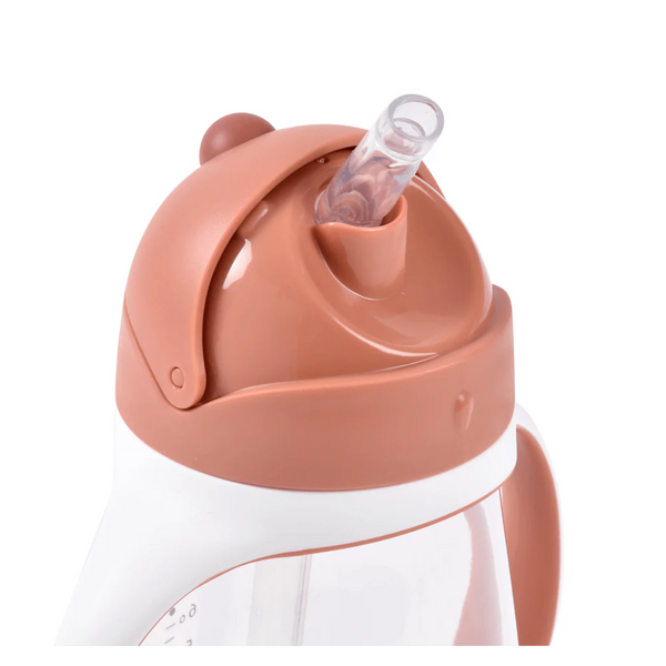 Beaba 2 in 1 Baby Sipper Water Bottle, Anti Spill Sippy Cup with Soft Silicone Straw for Toddler, Removable Handles, 300 ml - Terracotta