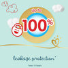 Pampers Premium Care Pants Diapers Size 4 (9-14Kg) 44 Pcs (Made In Egypt) - Dezine Kids