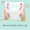 Pampers Premium Care Pants Diapers Size 4 (9 to 14Kg) 44 Pcs (Made In Egypt)
