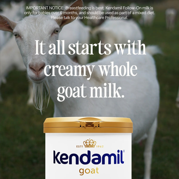 Kendamil Goat Toddler Milk Formula Stage 3, 12+ Months 800g