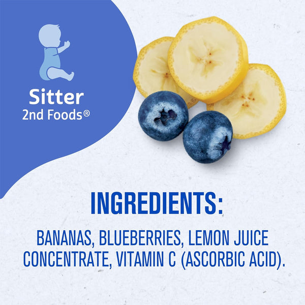 Gerber Fruit Puree - Banana Blueberry