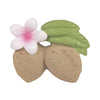 Oli & Carol Aly The Almond Teether