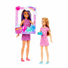 Barbie Celebration Fun Birthday Skipper and Stacie Doll - Dezine Kids