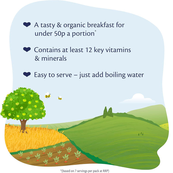 Hipp Organic Summer Berry Multigrain Porridge 10+ Months 200g