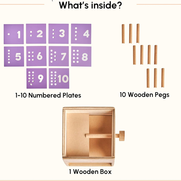 Curious Cub Count and Drop Box Montessori Learning Toy - Dezine Kids