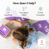 Curious Cub Count and Drop Box Montessori Learning Toy - Dezine Kids
