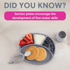 Bibado Silicone Suction Divider Plate - Mist
