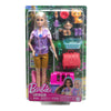 Barbie Doll and Accessories