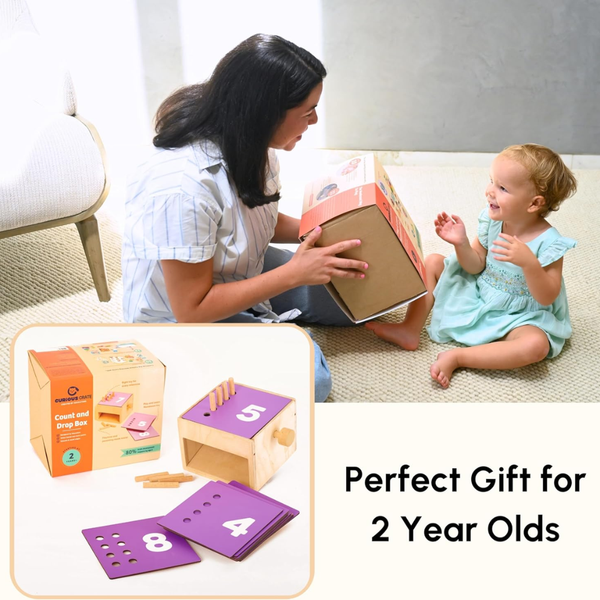 Curious Cub Count and Drop Box Montessori Learning Toy - Dezine Kids