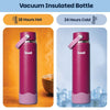 Basil Insulated Stainless steel Sipper with Carry Handle - Classic Plum