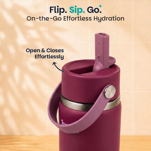 Basil Insulated Stainless steel Sipper with Carry Handle - Classic Plum