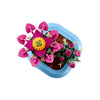 Lego Botanicals Flowering Cactus Plants Decor Building Set for Kids