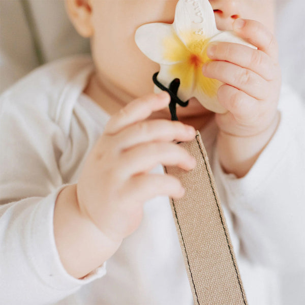Oli & Carol Hawaii The Flower Chewy Teether