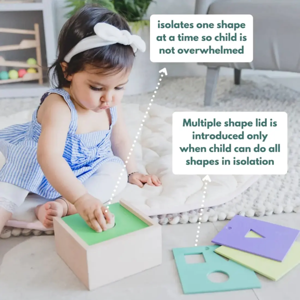 Curious Cub 4 In 1 Shape Sorter Activity Toy - Dezine Kids