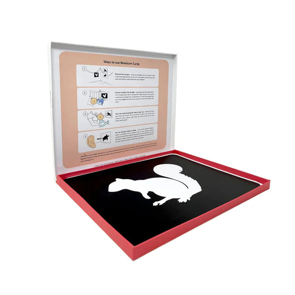 Brainsmith Animals Newborn Cards