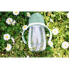 Beaba Straw Cup 300ml - Sage Green - Dezine Kids
