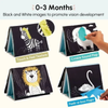 Curious Cub Learning Tummy Time Book & Mirror - Dezine Kids