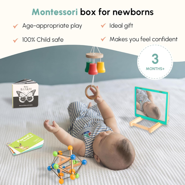 Curious Cub Montessori Wooden Play & Learning Activity Kit - Level 2 (3+M) - Dezine Kids