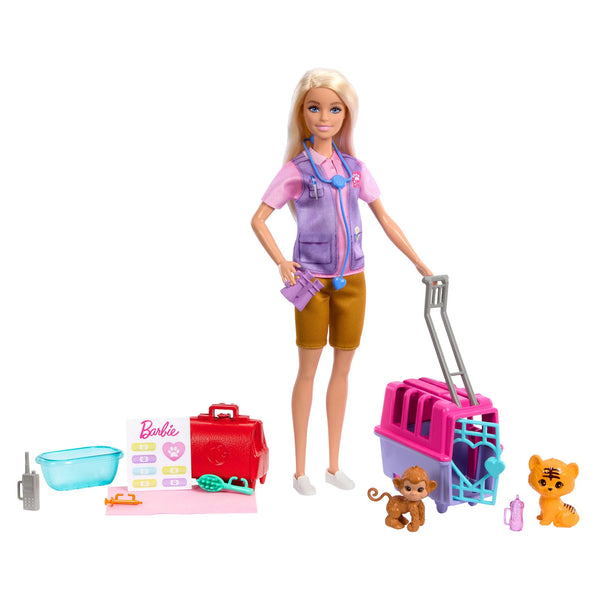 Barbie Doll and Accessories - Dezine Kids