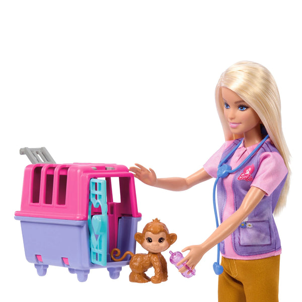 Barbie Doll and Accessories - Dezine Kids