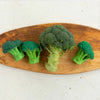 Brucy The Broccoli Teether - dezinekids.com