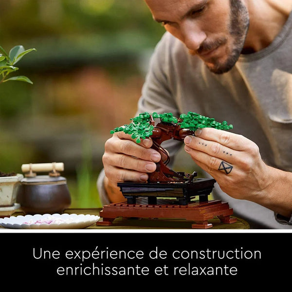 Lego Icons Bonsai Tree - Dezine Kids
