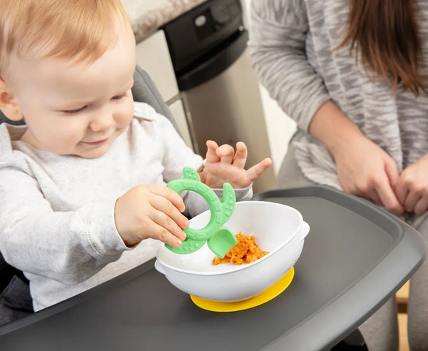 Dr.Browns No Slip Suction Bowl, 2-Pack - Dezine Kids