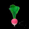 Ramona The Radish Natural Rubber Teether - dezinekids.com