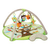 Skip Hop Treetop Friends Baby Activity Gym