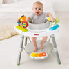 Skip Hop Activity Center 3 Stage - Dezine Kids