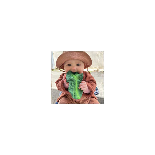 Kendall The Kale Natural Rubber Teether